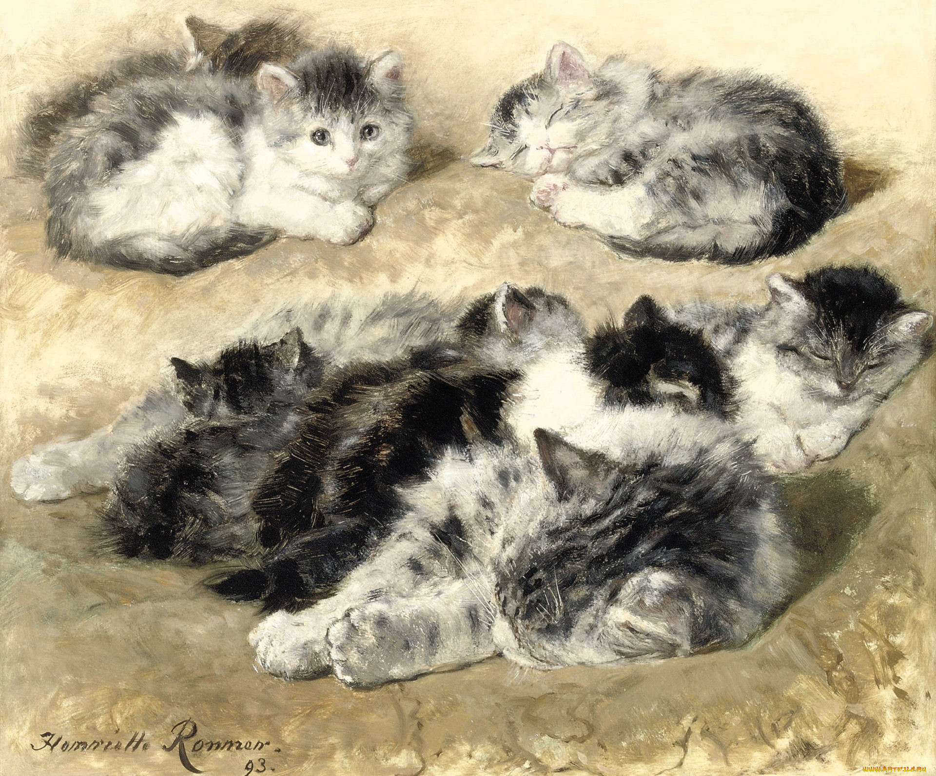 , henriette ronner-knip, , 